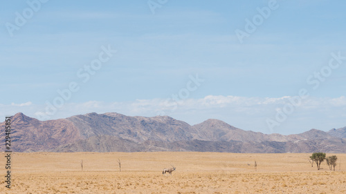 Namibia landscape. Desert of namib