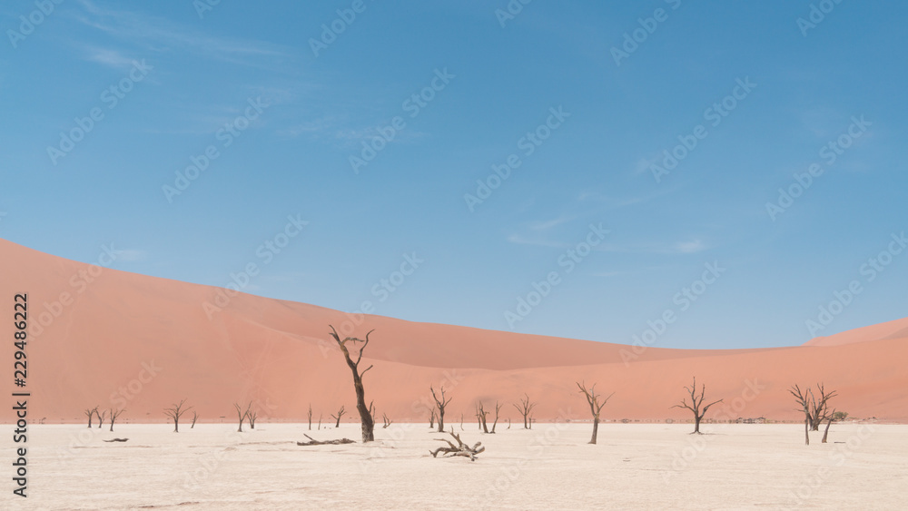 minimalistic landscape from Namibia minimalistic landscape from Namibia