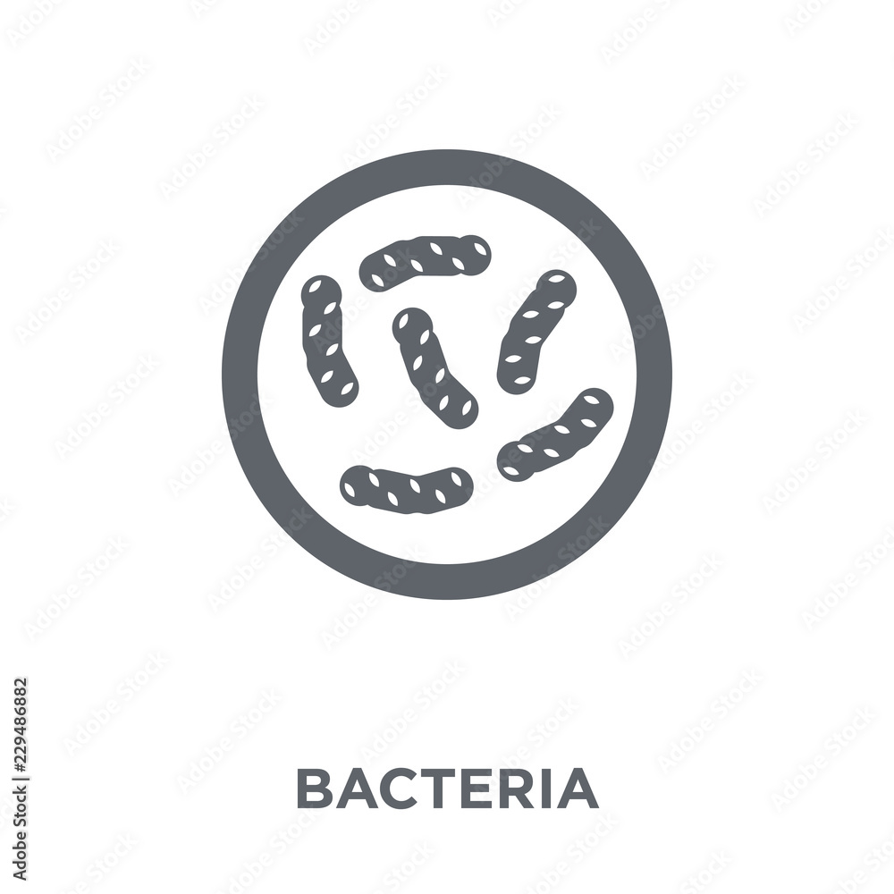 Bacteria icon from  collection.