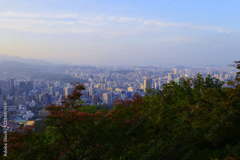 Obraz premium Widok na miasto