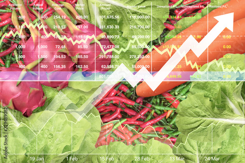 Stock  financial of successful growth index business on organic food products.Closeup on freshness mix vegetable and healthy fruit  dragon fruit,carrots,fresh green lettuce and red chili background.