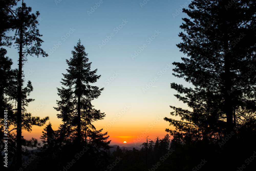 Fototapeta premium Lovely Sunset 1