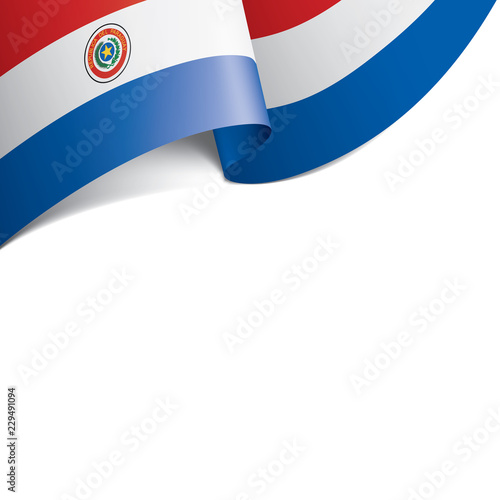 Paraguay flag, vector illustration on a white background