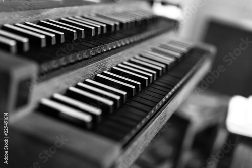 Sticker An Organ keyboard