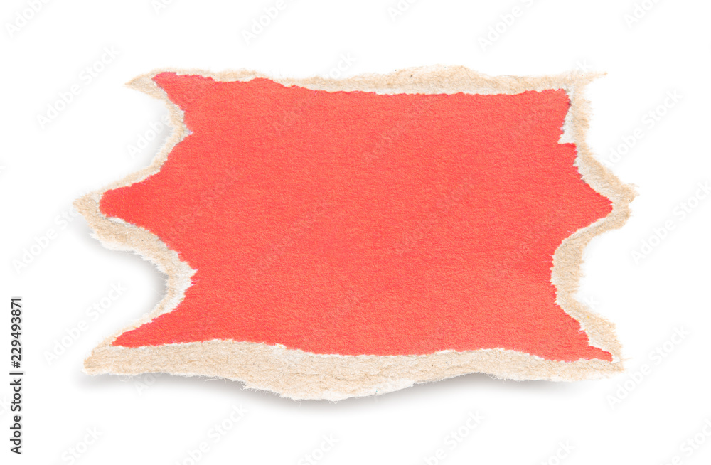 Piece of torn paper Piece of torn paper