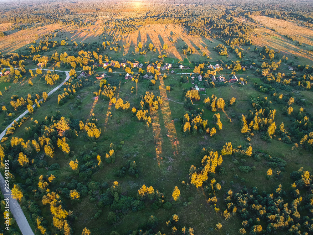 The road among the forest to the village at sunset from a height The road among the forest to the village at sunset from a height