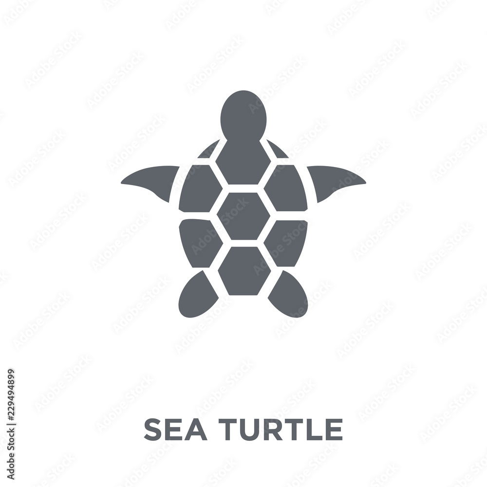 Fototapeta premium Sea turtle icon from Summer collection.