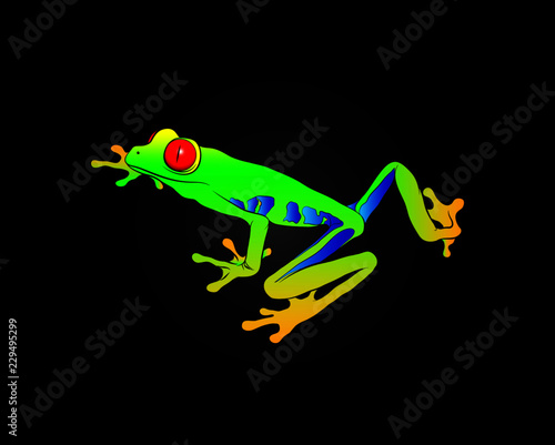 green tropic poison frog