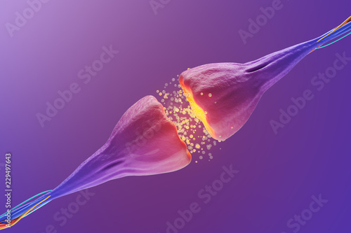 Cuadro en lienzo Sending chemical and electrical signals in a synapse and neuron