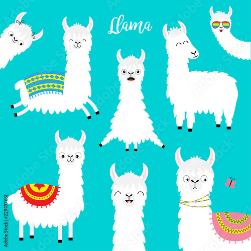 Llama alpaca set. Face glassess. Childish baby collection. Cute cartoon funny kawaii character. Fluffy hair fur. T-shirt, greeting card, poster template print. Flat design. Blue background.