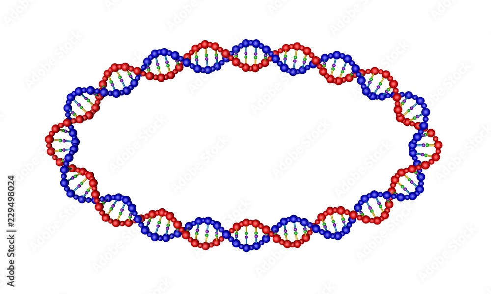 Fototapeta premium DNA strand in form of oval. 3D rendering illustration.
