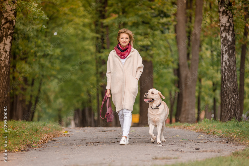 A woman walks with her labrador in the fall. A woman walks with her labrador in the fall.