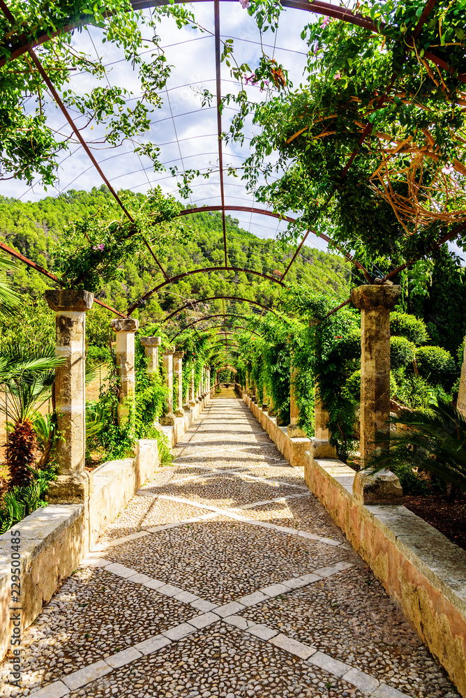 Naklejka premium Botanische Garten Weg Jardi Botanic de Soller Allee