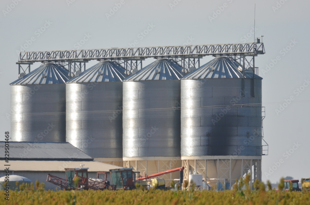 Obraz premium Grain silo