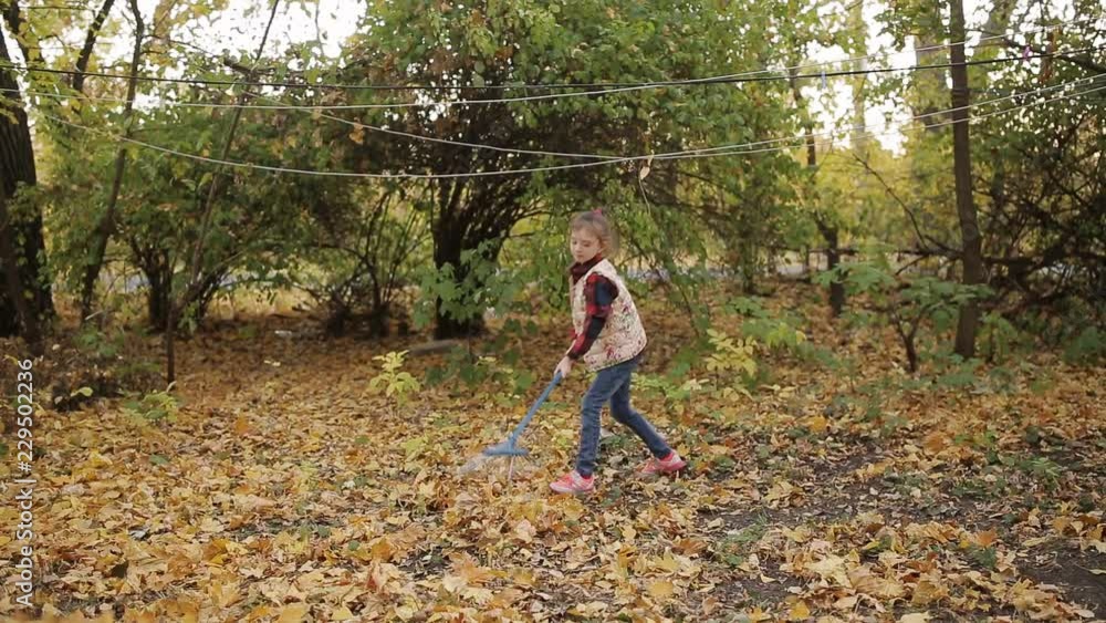 The little girl is engaged in cleaning the foliage that has fallen from the trees. Girl raking leaves yellow The little girl is engaged in cleaning the foliage that has fallen from the trees. Girl raking leaves yellow