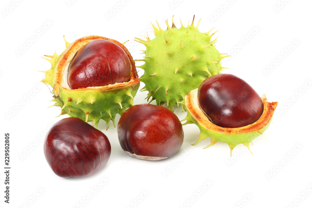 chestnuts isolated on white background. Healthy background. chestnuts isolated on white background. Healthy background.