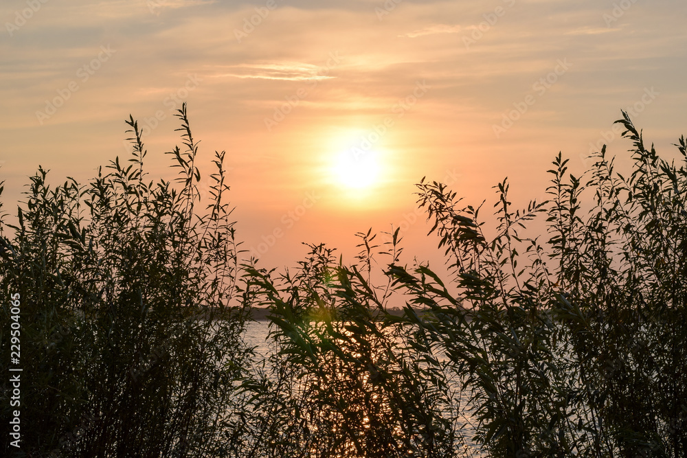 Obraz premium Sunrise. Sunrise on the river. Morning on the river