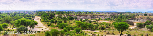 Panorama of Tarangire national Park