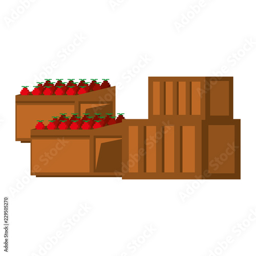 Videogame pixelated cartoon items