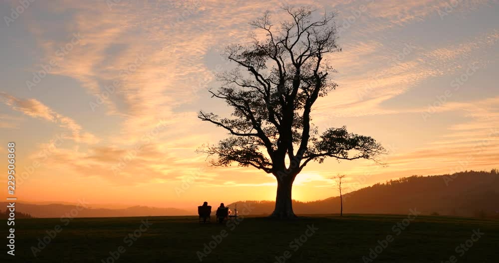 Sunset on the top in Velká Lhota old lone tree underneath which sits a loving couple watching the sunset down the hill Sunset on the top in Velká Lhota old lone tree underneath which sits a loving couple watching the sunset down the hill