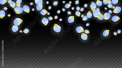Vector Realistic Blue Petals Falling on Transparent Background.  Spring Romantic Flowers Illustration. Flying Petals. Sakura Spa Design. Blossom Confetti.