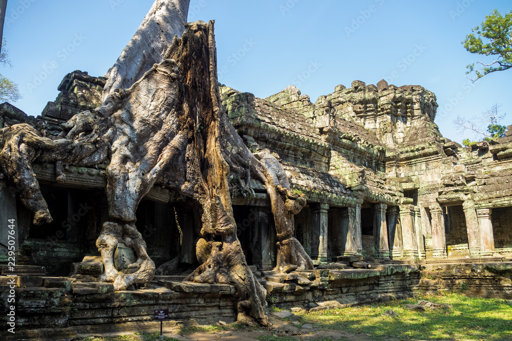 Kambodscha  - Preah Khan