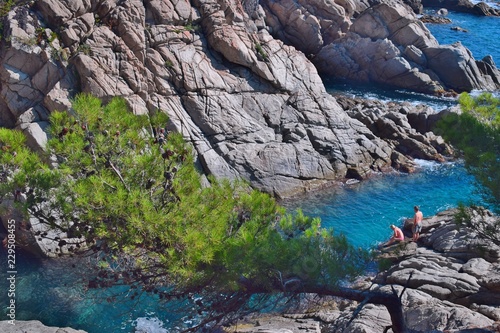 People on the rock among the green pine trees and the sea in the background.