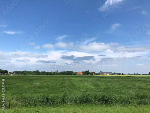 Frisian farmland landscape photo
