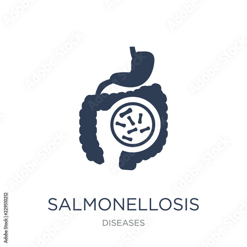 Salmonellosis icon. Trendy flat vector Salmonellosis icon on white background from Diseases collection photo