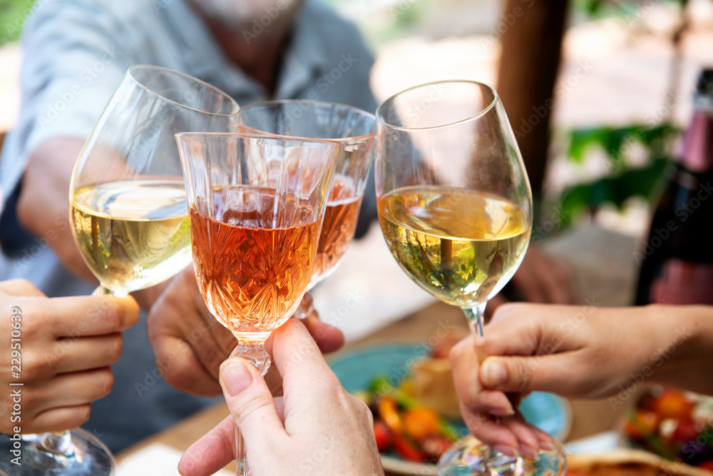 Happy people clinking with wine glasses