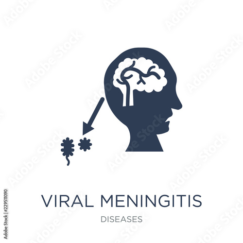Viral meningitis icon. Trendy flat vector Viral meningitis icon on white background from Diseases collection