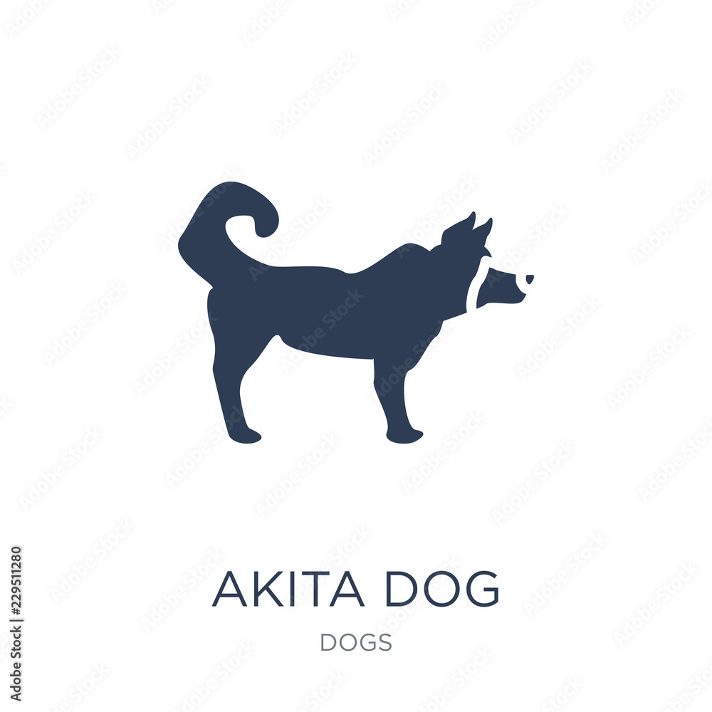 Akita dog icon. Trendy flat vector Akita dog icon on white background from dogs collection
