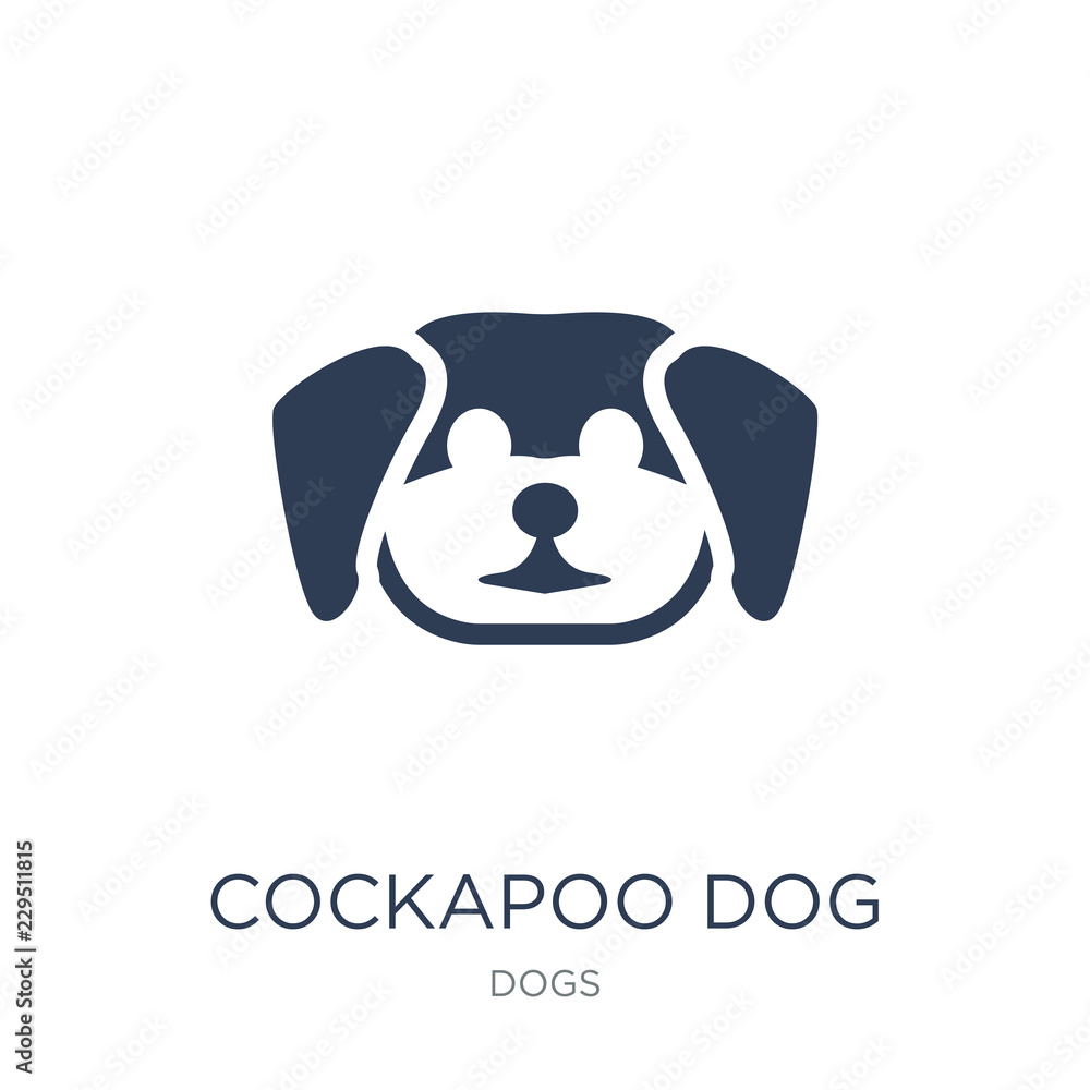 Obraz premium Cockapoo dog icon. Trendy flat vector Cockapoo dog icon on white background from dogs collection