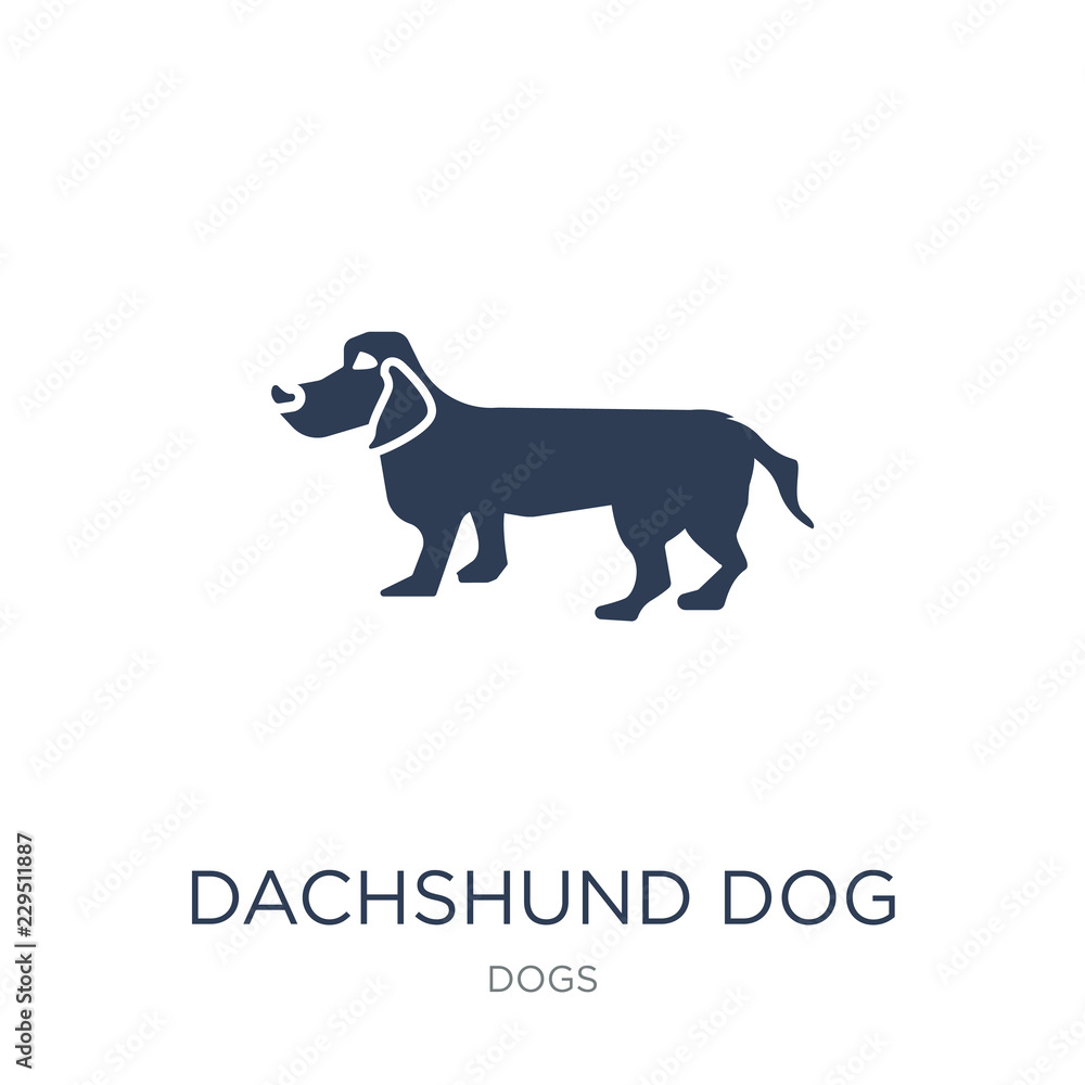 Dachshund dog icon. Trendy flat vector Dachshund dog icon on white background from dogs collection