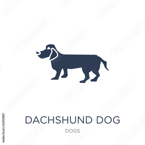 Dachshund dog icon. Trendy flat vector Dachshund dog icon on white background from dogs collection