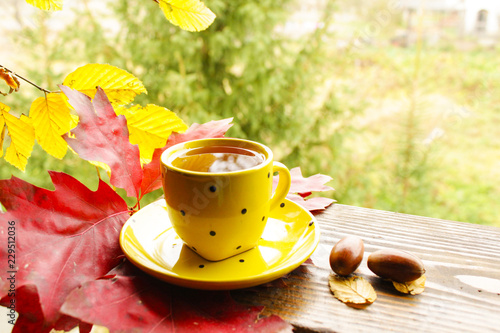 Hot tea in a yellow cup near two acorns on the background of vintage wood. Warm sunny day of the golden autumn 