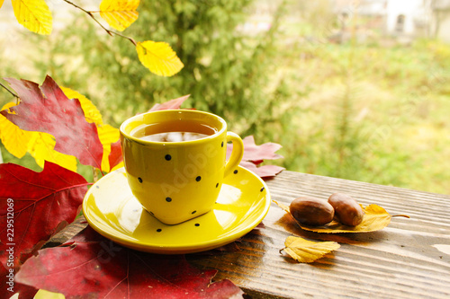 Hot tea in a yellow cup near two acorns on the background of vintage wood. Warm sunny day of the golden autumn 