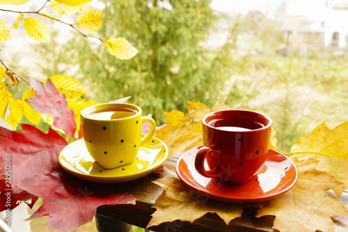 Two cups of tea on the background of autumn leaves. Warm sunny day of the golden autumn