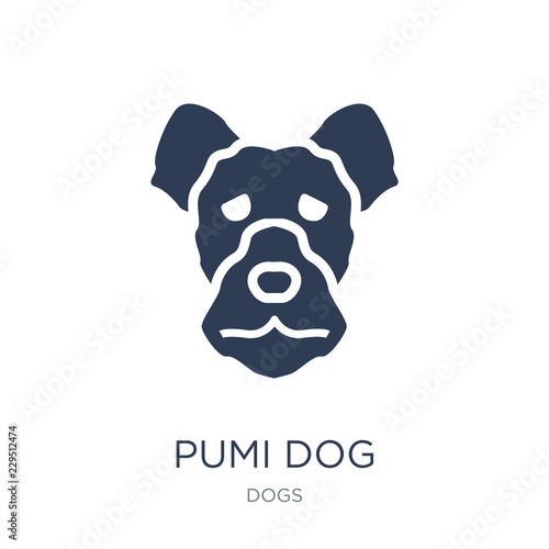Pumi dog icon. Trendy flat vector Pumi dog icon on white background from dogs collection