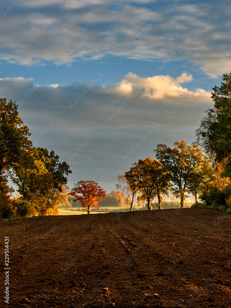Fototapeta premium Autumnal fields, Poland around the town of Elblag