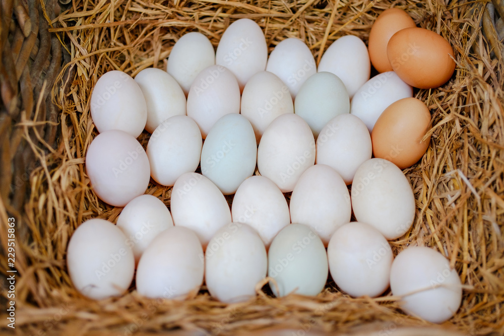 Close up of eggs in a straw basket