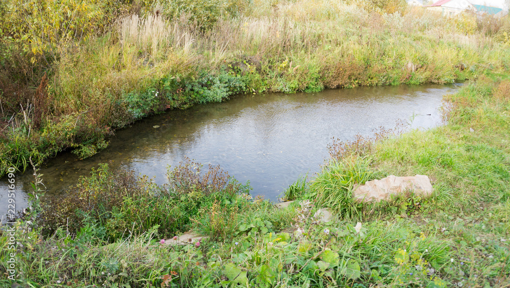Obraz premium a small river in green grass