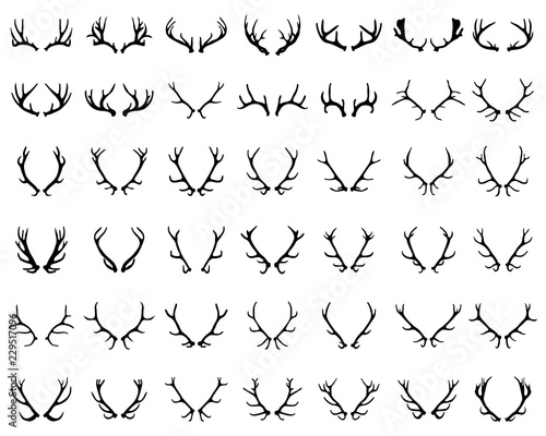 Black silhouettes of different deer horns on a white background