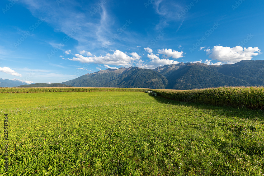 Fototapeta premium Austrian Alps with Corn Fields and Meadows