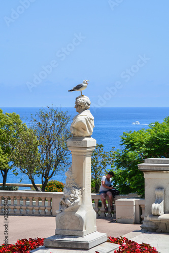 Yawning seagull on the statue