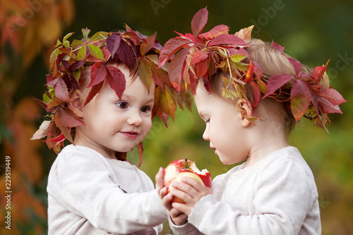 Beautiful little twin girls  holding apples in the autumn garden.  Toddler eating fruits at fall harvest. Healthy nutrition.  Autumn activities for children. Halloween and Thanksgiving time. 