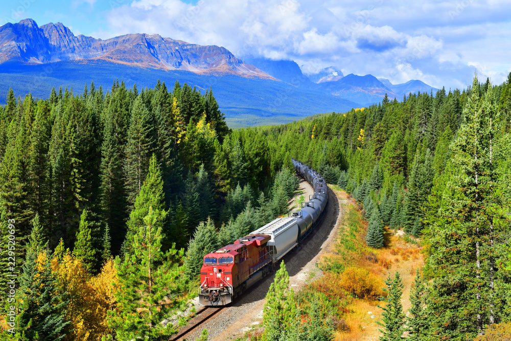 Fototapeta premium Pociąg przechodzi słynną krzywą Moranta w Bow Valley jesienią, Park Narodowy Banff, Canadian Rockies, Kanada.