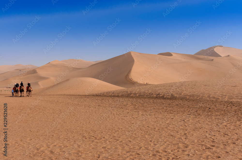 Tourists riding cammels at the Echoing Sand Mountain near the city of Dunhuang, in the Gansu Province, China.