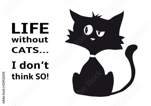 Cynical cat with quote Life without cats I dont think so, funny animal, isolated on white background, black and white