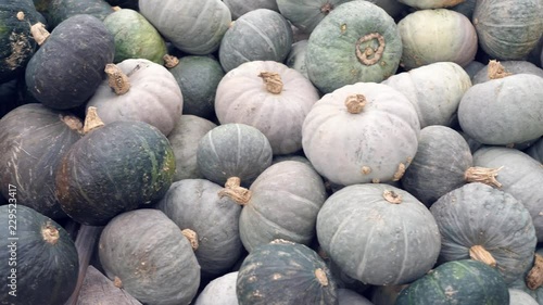 a lot of different pumpkins